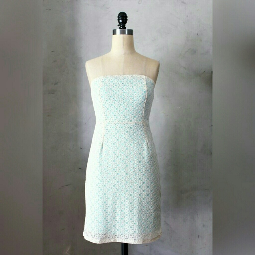 Fleet Collection Charlotte strapless lace dress size small NWT